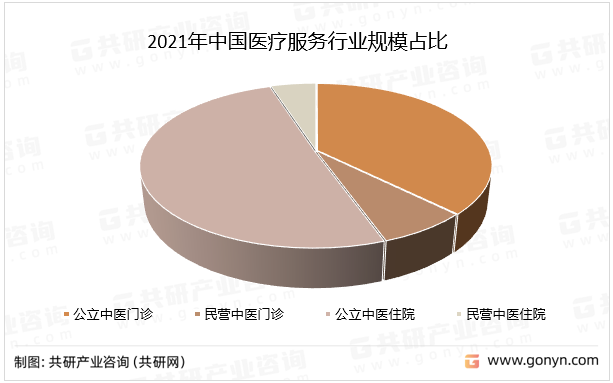 2021年中国医疗服务行业规模占比