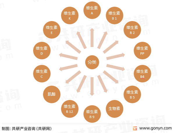 维生素种类