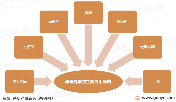 酵母提取物主要应用领域