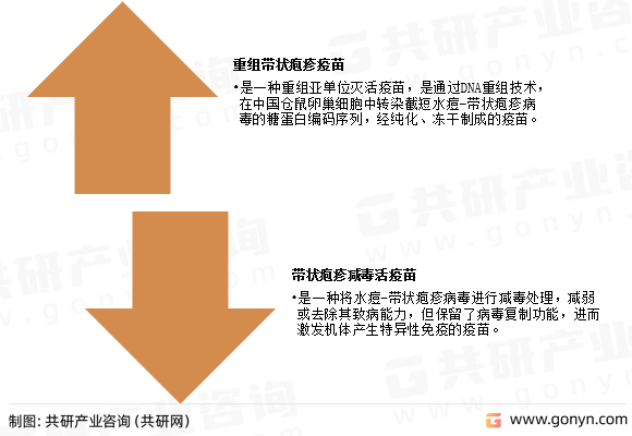带状疱疹疫苗分类
