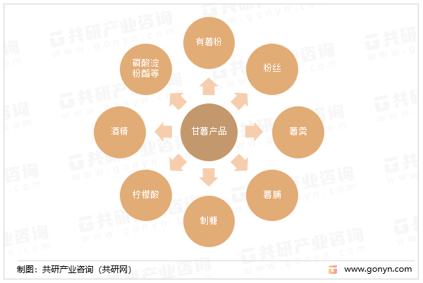 甘薯产品