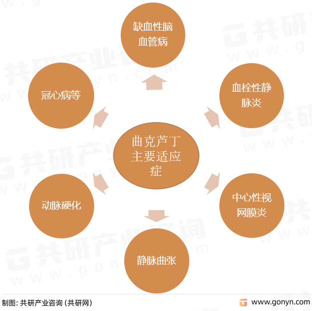 曲克芦丁主要适应症