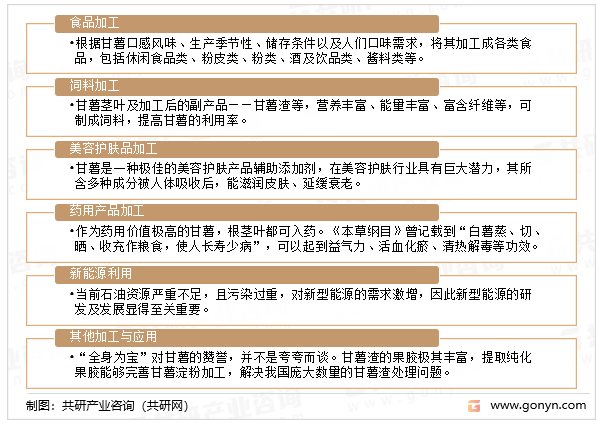 甘薯加工研究进展
