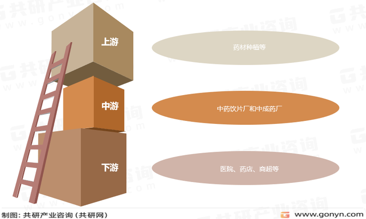 中医药行业产业链