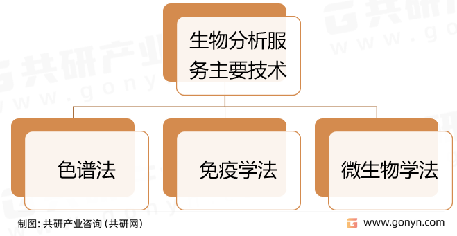 生物分析服务主要技术