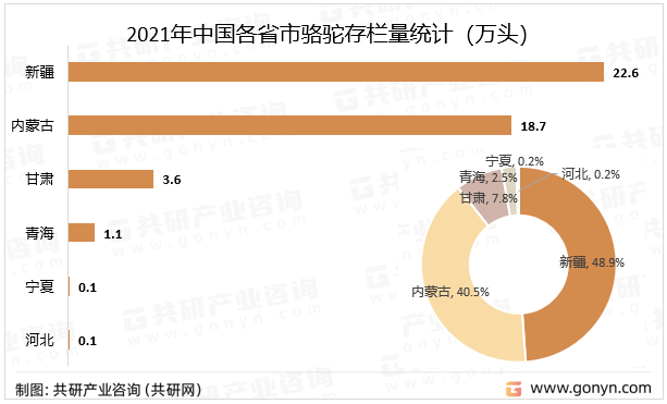 2021年中国各省市骆驼存栏量统计