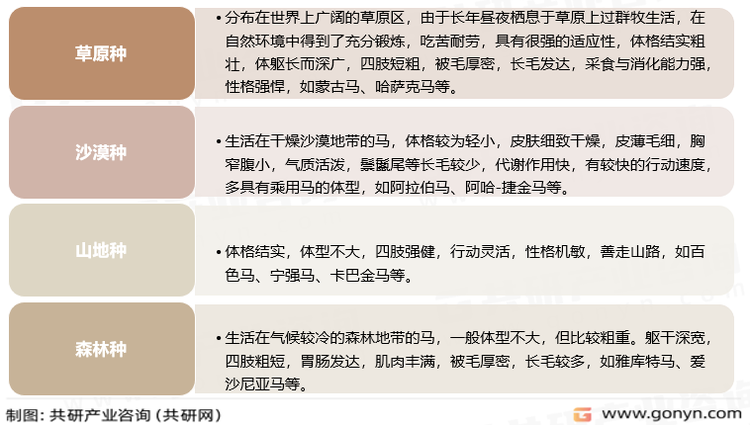 马分类