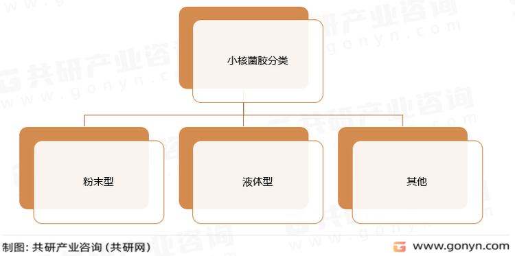 小核菌胶分类