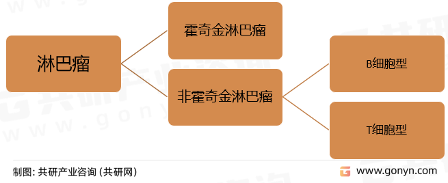 淋巴瘤分型