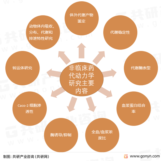 非临床药代动力学研究主要内容