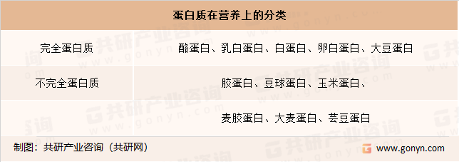 植物蛋白分类