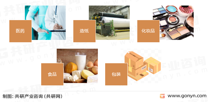 小核菌胶主要应用领域