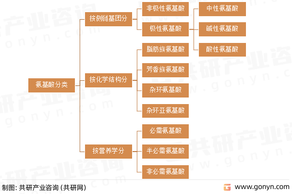 氨基酸分类