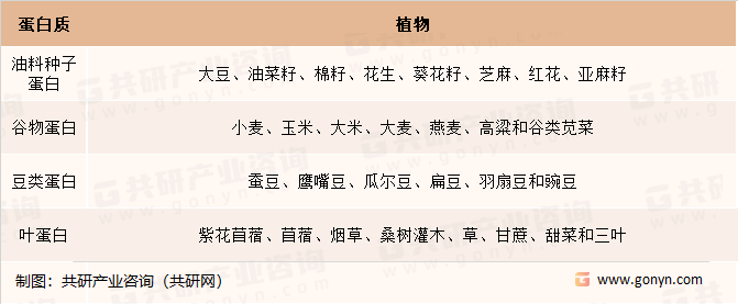 植物蛋白来源