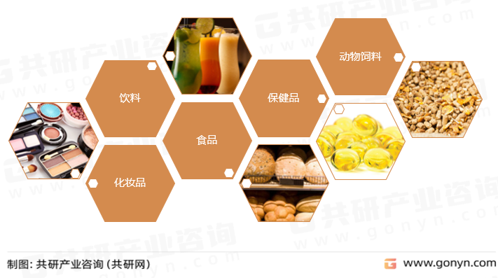燕麦β-葡聚糖主要应用领域