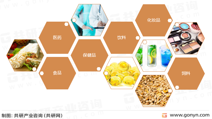 纳豆提取物主要应用领域