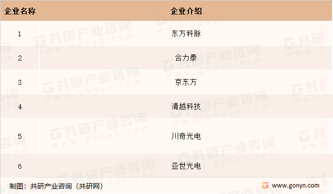 全球电子纸模组产业主要代表企业
