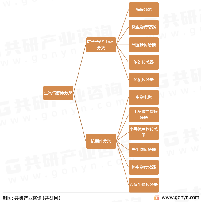 生物传感器分类