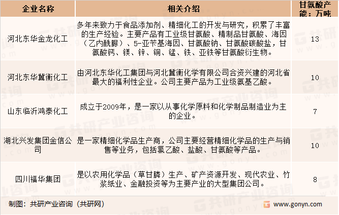 甘氨酸市场主要竞争者分析