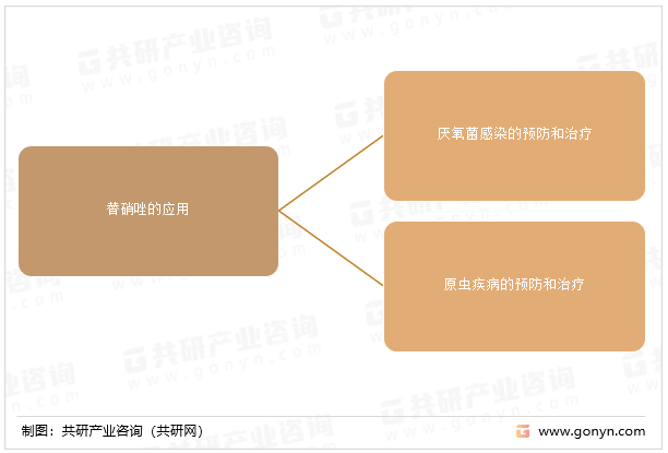 替硝唑的应用