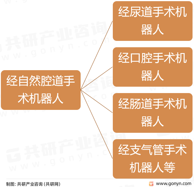 经自然腔道手术机器人分类