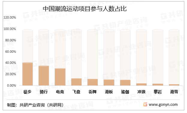 中国潮流运动项目参与人数占比