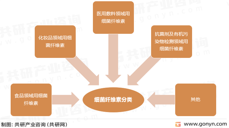 细菌纤维素分类