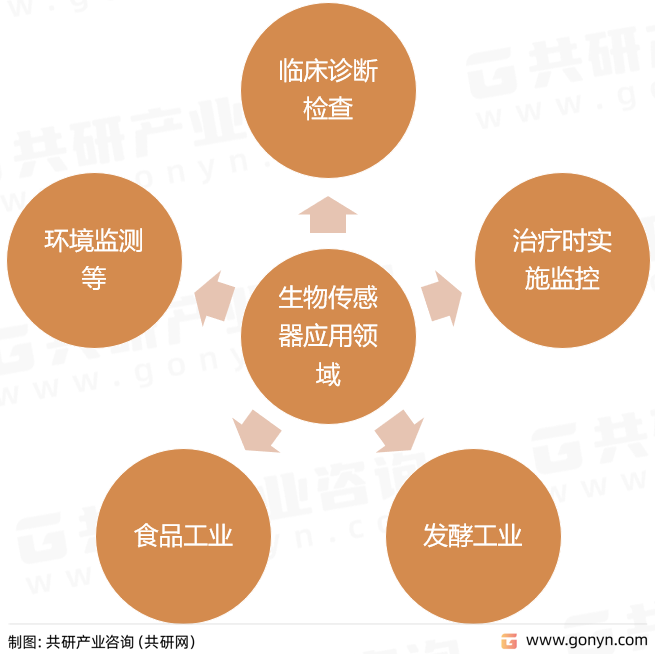 生物传感器应用领域