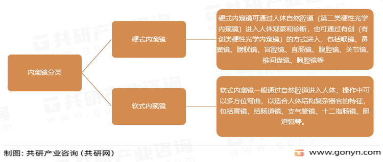 内窥镜分类