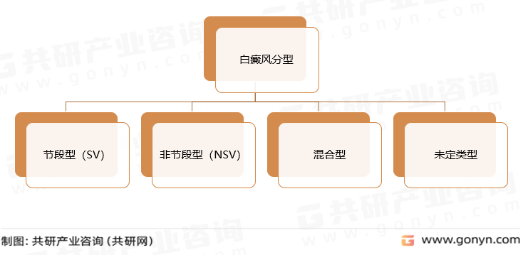 白癜风分型