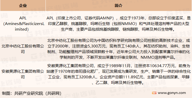 我国NMMO市场主要企业介绍