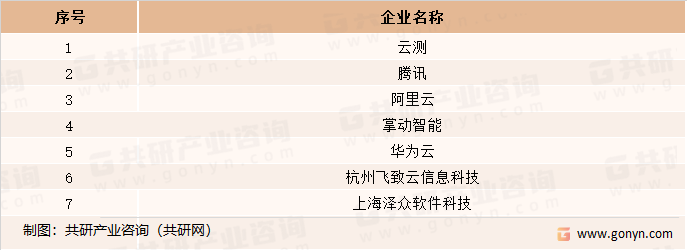 国内软件行业本土领先企业