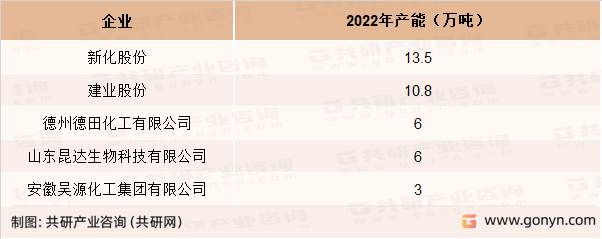 2022年中国脂肪胺主要生产企业产能