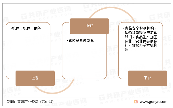 真菌检测试剂盒产业链