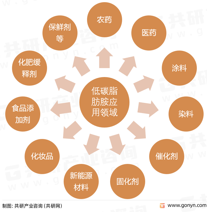 低碳脂肪胺应用领域