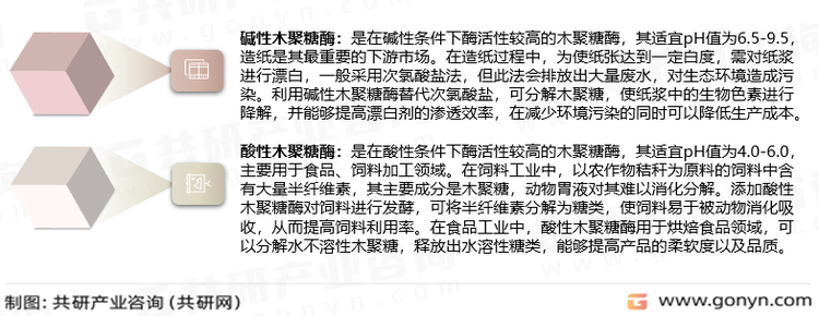 木聚糖酶分类
