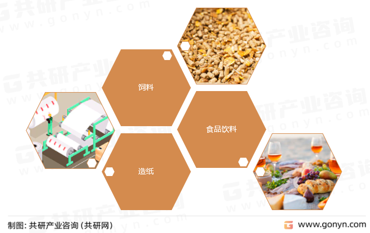 木聚糖酶主要应用领域