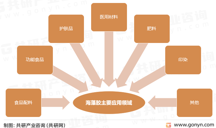 海藻胶主要应用领域