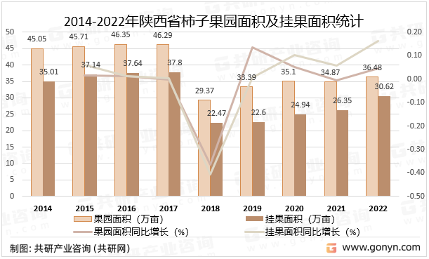 2014-2022年陕西省柿子果园面积及挂果面积统计