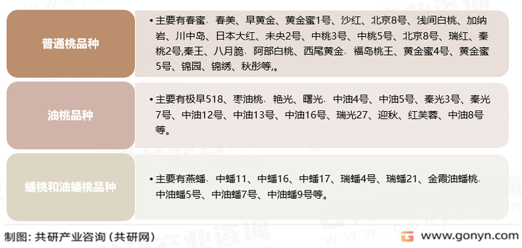 陕西桃栽培主要品种