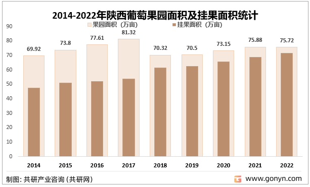 2014-2022年陕西葡萄果园面积及挂果面积统计