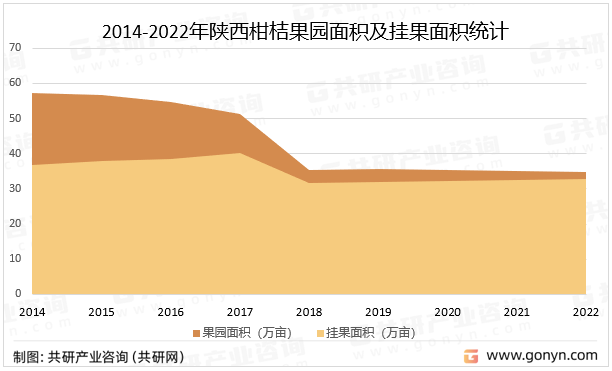 2014-2022年陕西柑桔果园面积及挂果面积统计