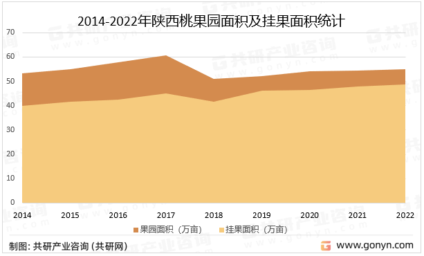 2014-2022年陕西桃果园面积及挂果面积统计