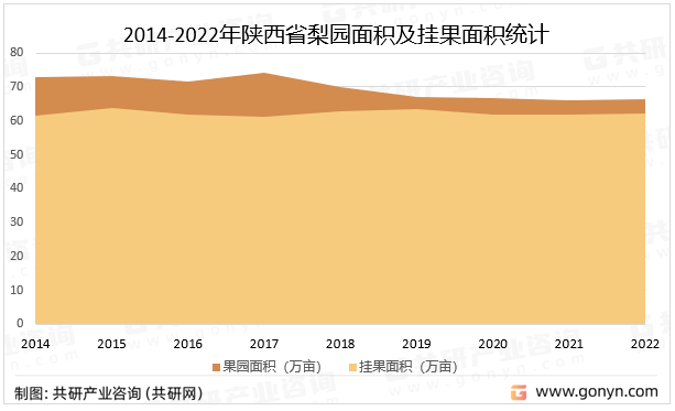 2014-2022年陕西省梨园面积及挂果面积统计