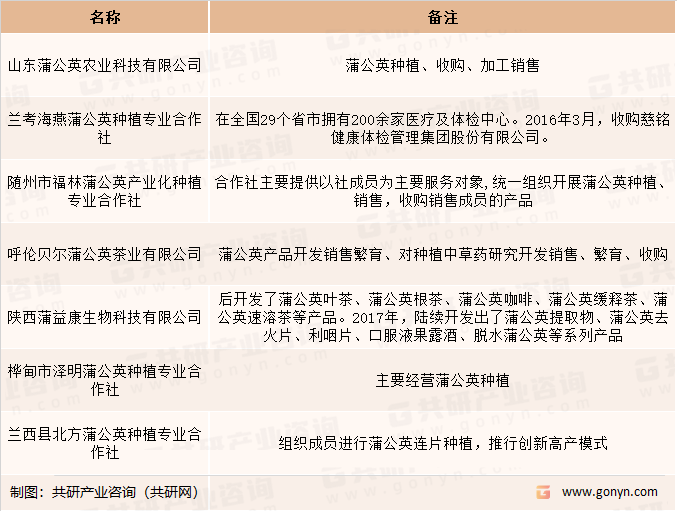 国内主要蒲公英品牌