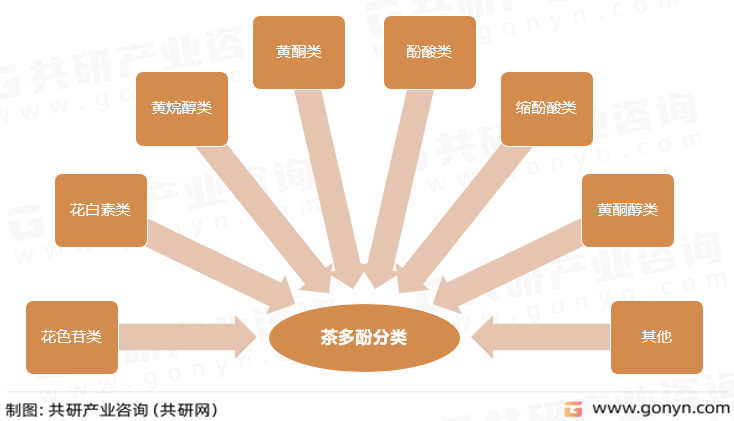 茶多酚分类