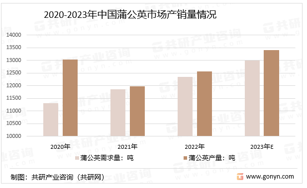2020-2023年中国蒲公英市场产销量情况