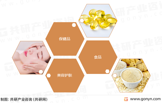 茶多酚主要应用领域