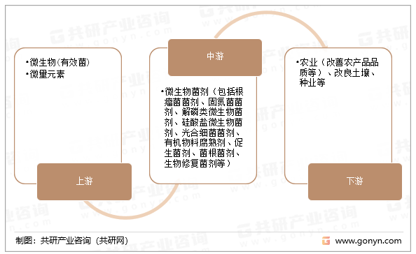 微生物菌剂产业链