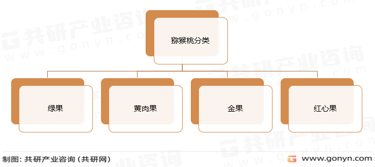 猕猴桃分类